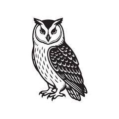 Obraz premium vector illustration of an owl