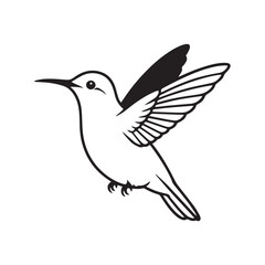Fototapeta premium vector illustration of a hummingbird