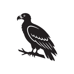 Fototapeta premium vulture on a white background
