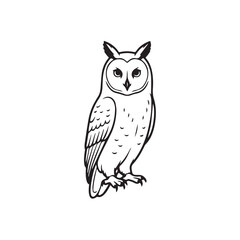 Obraz premium vector owl on white background