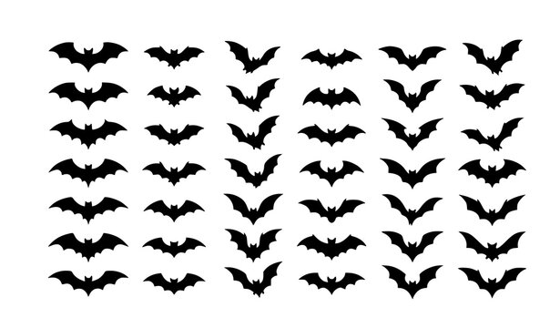 Halloween Flying Bat Silhouette Bundle Editable Vector Collection