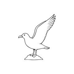 Fototapeta premium seabird vector illustration
