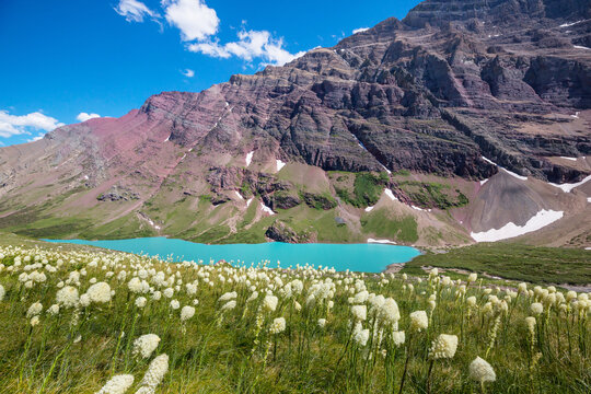 Mountains meadow