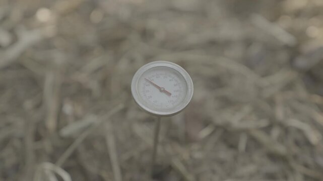 Close-up of a soil thermometer measuring compost temperature in an organic farming environment. The image highlights compost management, soil health monitoring, sustainable agriculture, regenerative f
