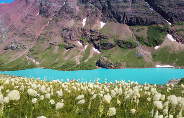 Obraz premium Mountains meadow