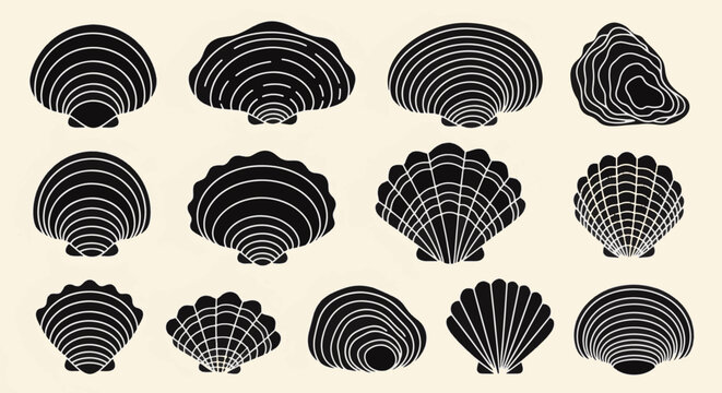 Collection of thirteen black seashell silhouettes including scallops, clams, and oysters with white linear details on a cream background, suitable for nautical icons and graphic design.