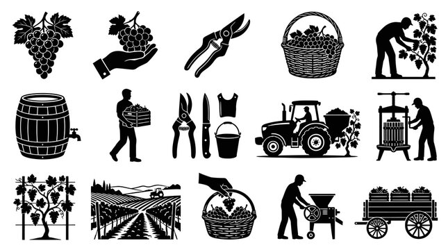 Viticulture Winemaking Process Black and White Glyph Icons Set for Grape Harvesting and Wine Production