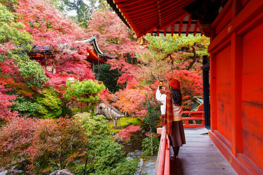 Solo female tourist taking a photo of beautiful scenic view and vibrant autumn foliage at Japanese temple in Kyoto