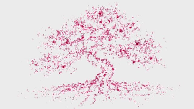 abstract bonsai tree silhouette forming from pink flower heart and music particles on white background for nature wellness growth and life motion graphics