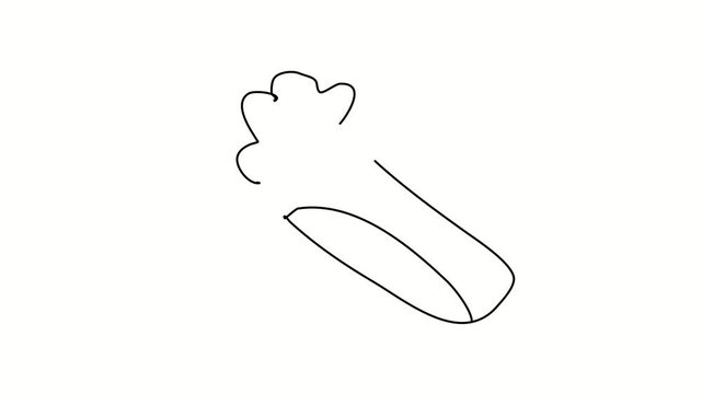 Shawarma, lavash. Contour drawing, silhouett animation. Continuous line. Isolated on white. Video 4k object illustration self-drawing. Object construction. Minimalist continuous line drawing silhouett