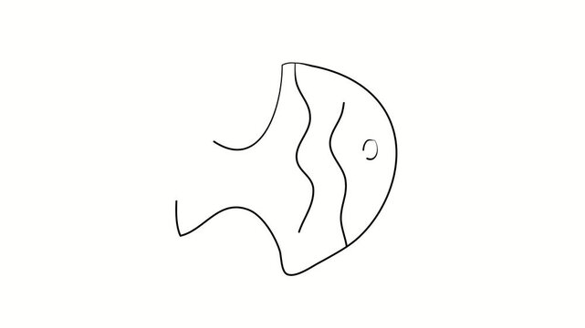 Sea fish. Contour drawing, silhouett animation. Continuous line. Isolated on white. Video 4k object illustration self-drawing. Object construction. Minimalist continuous line drawing silhouette on a w