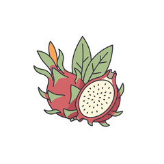 Fototapeta premium Dragon Fruit with Cross Section and Leaves Vector Illustration