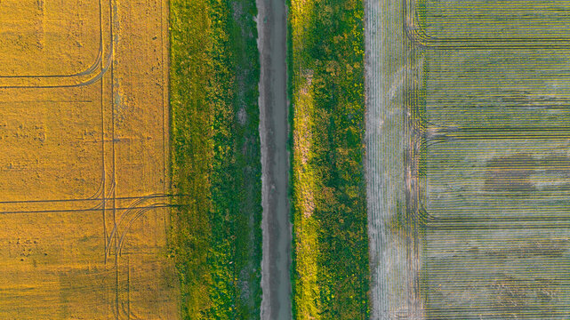 Agricultural fields divided by path and green strip