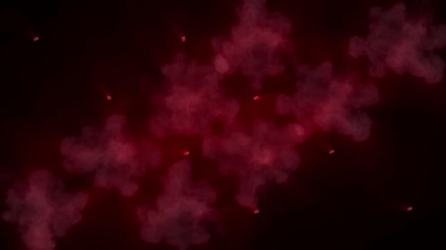 Light fire burst DJ VJ video samples
Also useful for project where a blinking blinking light box club clubbing concert dance disco dj fashion flash flashing flashlight floodlight glamour glowing halog