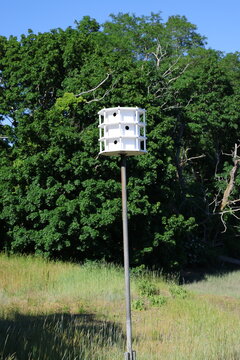 bird houses 