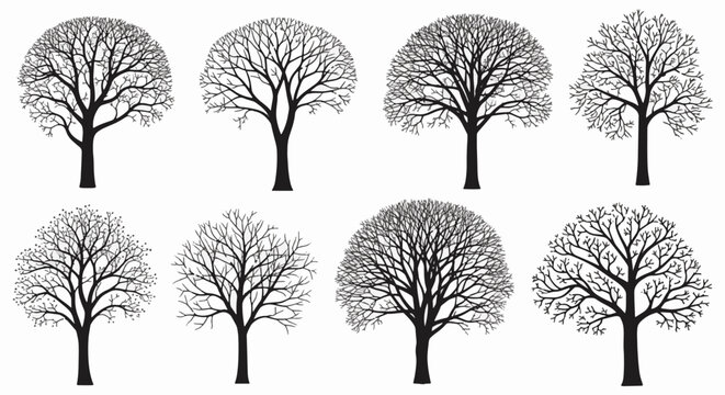 Collection of eight black silhouettes of deciduous trees without leaves, featuring intricate bare branches and distinct trunk shapes isolated on a clean white background for design.