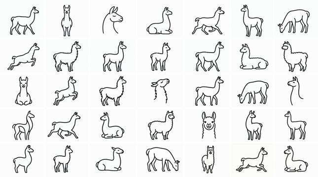 Collection of line art icons representing llamas in various poses and activities.