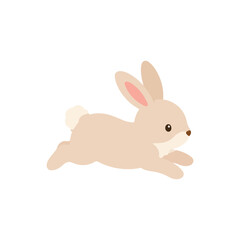 Fototapeta premium Cute bunny hopping and running active pose flat vector illustration for children design