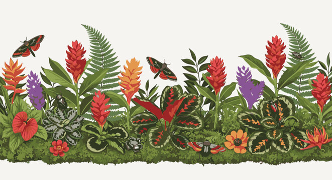Jungle floor border illustration featuring red ginger flowers, orange heliconia, green ferns, calathea leaves, moss, and various insects like moths and beetles on white background.