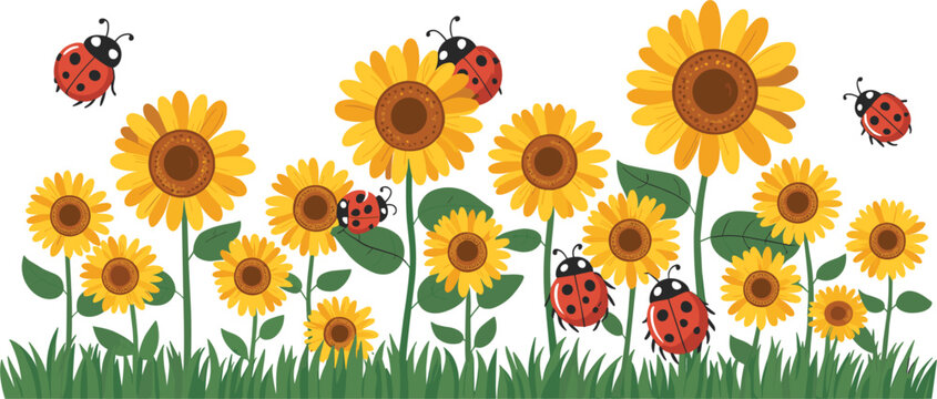 Cute cartoon green grass border with yellow sunflowers and flying ladybugs, spring nature vector background