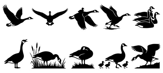 Flying birds and geese silhouettes, birds and geese silhouettes in formation for nature and wildlife conservation designs. these migratory bird icons are ideal for environmental © Uttham