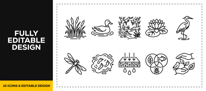 flat vector illustration line art icon bundle set design featuring wetland ecosystem swamp marsh duck bird nature ecology biodiversity environment flora fauna app ui