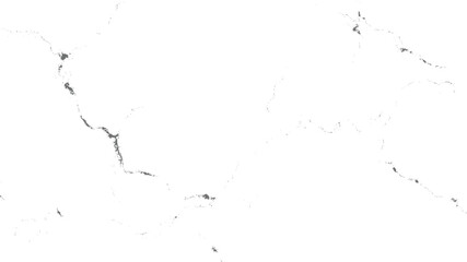 Fototapeta premium minimalist white marble texture with subtle black veins and fine organic lines