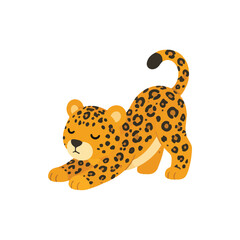 Cute playful leopard cub stretching pose flat vector illustration for kids graphic © Hellotatary