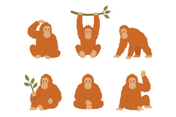 Cute orangutan character poses set flat vector illustration bundle for jungle theme design © Hellotatary