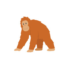 Cute baby orangutan walking on all fours flat vector illustration for children graphic © Hellotatary