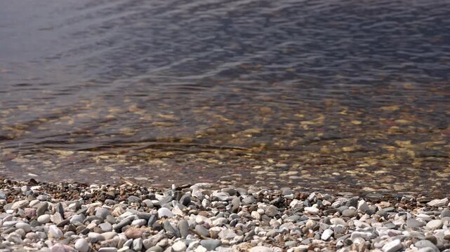 Calm, transparent water gently rippling against a peaceful pebble beach on a sunny day, with the rocky bottom visible through the clear surface in a serene and natural setting