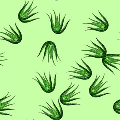 Fototapeta premium pattern aloe vera plant hand drawn. leaf fresh, gel cosmetic, water green, care cactus, drop herbal aloe vera plant vector sketch illustration