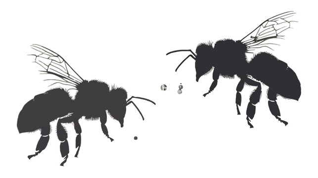 Honey bee silhouettes in black and white, realistic flying bumblebee vector graphics, honeybee insect icons for nature and organic honey branding