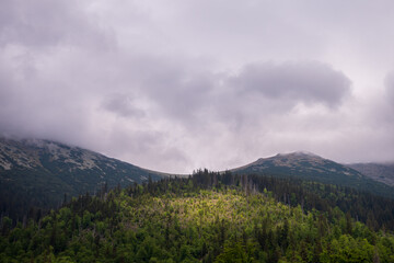 Fototapeta premium Low Tatras mountain landscape with sunlight breaking through clouds, creating light and shadow over forests and mountain ridges. Dramatic weather, nature and travel in Slovakia.