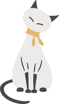 正面を向いて座っている猫