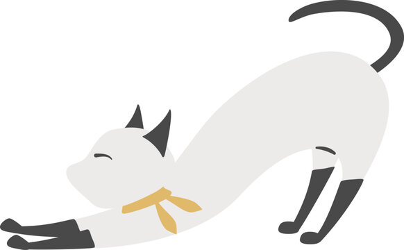 伸びをしている猫