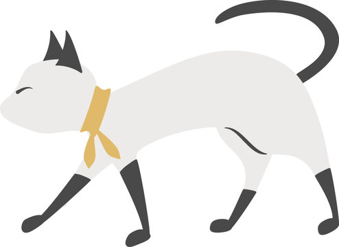歩いている猫の横向きの姿