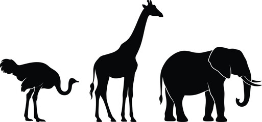 Set of safari animal silhouettes featuring ostrich giraffe and elephant isolated on white background vector graphic element © VactorZone