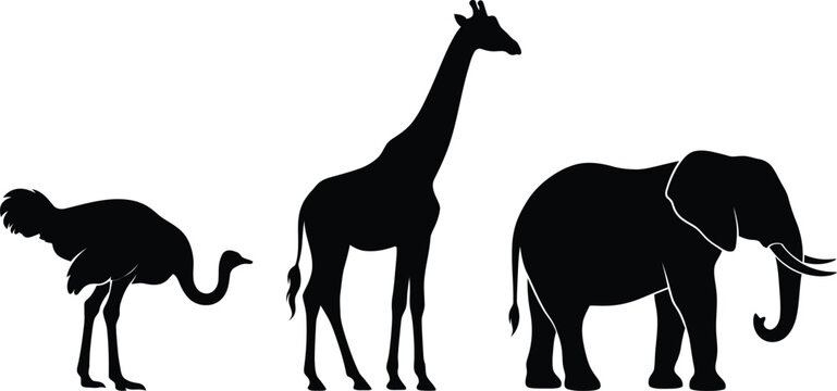 Set of safari animal silhouettes featuring ostrich giraffe and elephant isolated on white background vector graphic element