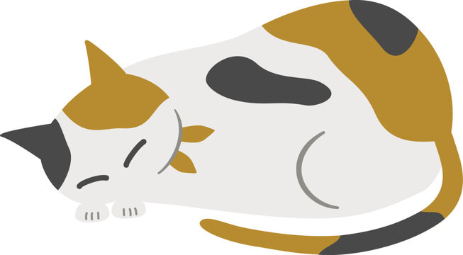 寝ている猫