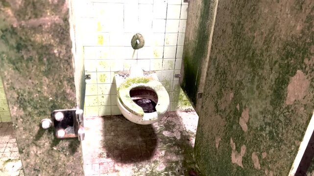 old rusty overgrown toilet in bathroom