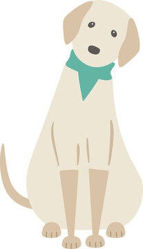 正面を向いて座っている犬