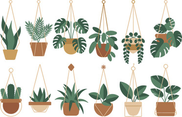 Hanging Houseplants Collection, Indoor Potted Green Plants Vector Illustration Set Botanical Home Decor Design © misla