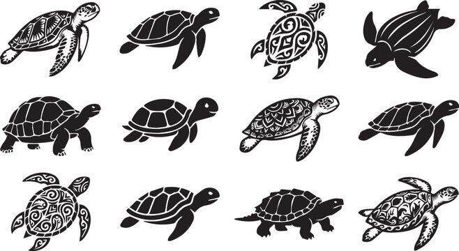 Collection of various turtle silhouettes and designs