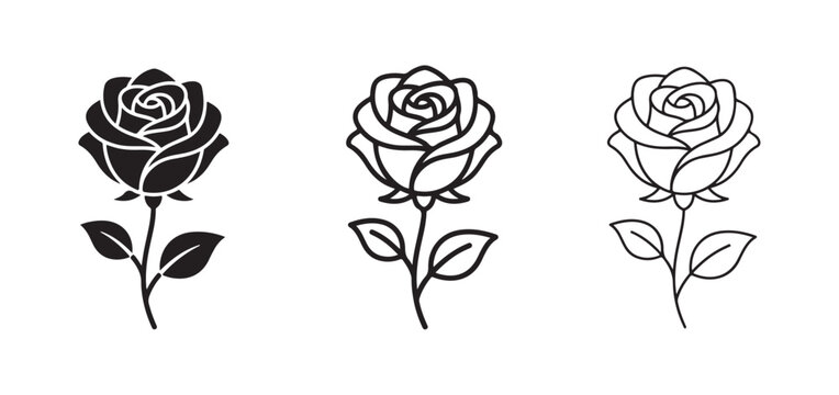roses with leaves on stems in various styles and shades  simple floral illustrations
