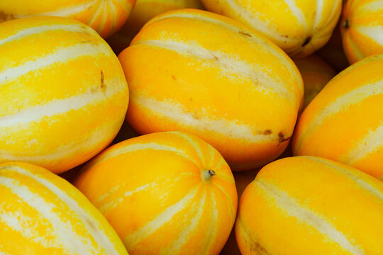 Close up of yellow korean melons.