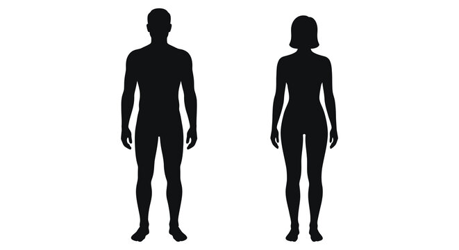 Human Body Silhouettes Against White Background Male And Female Forms