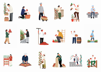 Fototapeta premium Flat vector illustrations set of chefs and farmers harvesting, preparing, and transporting fresh red tomatoes in various garden and kitchen settings.
