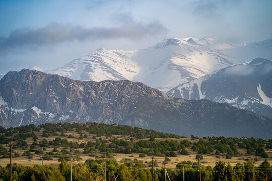 View of the snow-capped peaks of the Zaamin Mountains rising above rolling hills covered with juniper trees in Zaamin, Jizzakh Region, Uzbekistan.