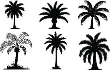 Fototapeta premium Palm Tree Black Silhouette Collection with Tropical Coconut Tree Vector Set